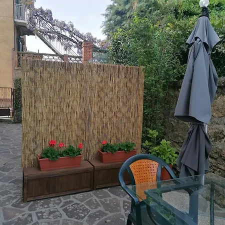 Papaveri Di Casa Mosaico